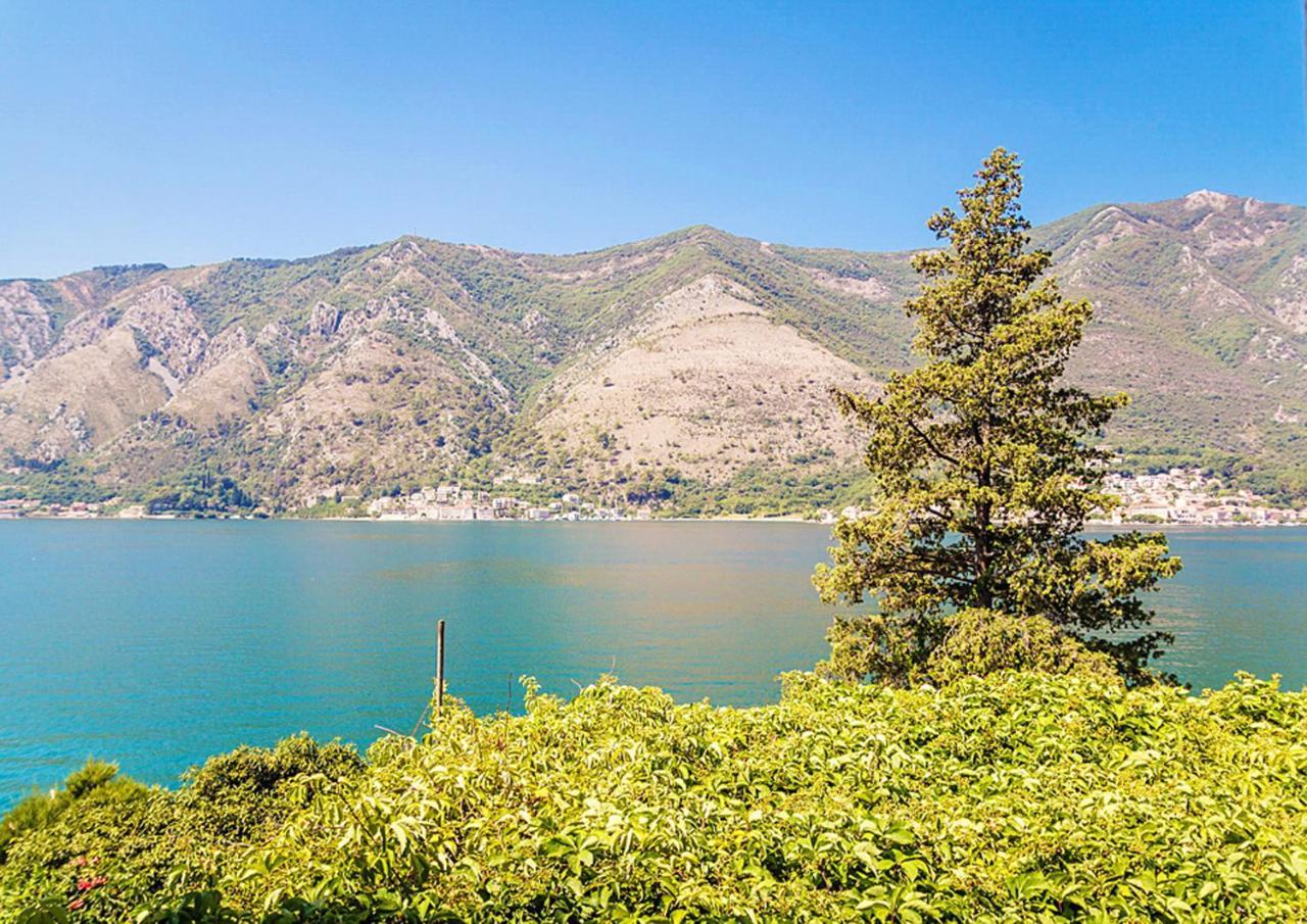 Villa Donkovic Kotor Kültér fotó