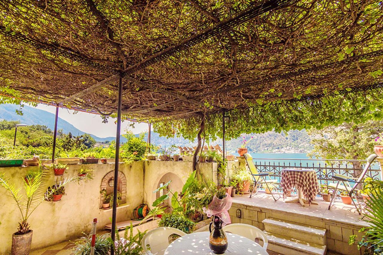Villa Donkovic Kotor Kültér fotó